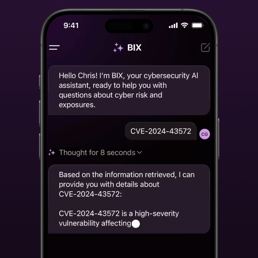 Balbix Screenshot